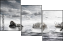 49167138