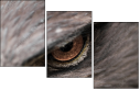 49245808