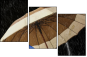 49306047