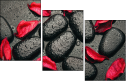 49357610