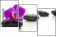 49566256