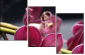 49633319