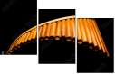 50197019