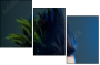 50564432