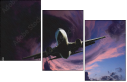 51192902