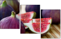 52014179