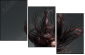 52116617