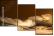 52670728