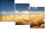 52793015