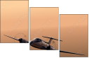 53511493