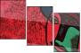 53800770