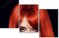 53895849