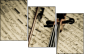 54506799