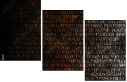 54969981