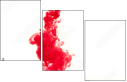54973703