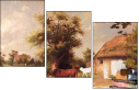 55361975
