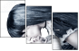 55810226
