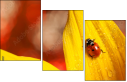 55820987