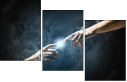 55886651