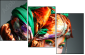 56076914