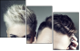 56245304