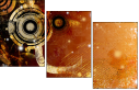 5648461
