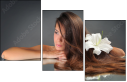 56517221
