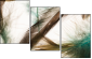 56562123
