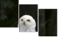 57060206