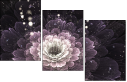 57185040