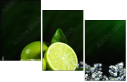 57479075
