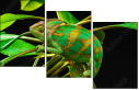 57907029
