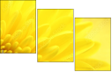 57915870