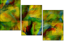 58509769