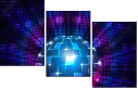 58673981
