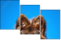 58783058