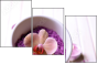 59034418