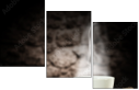 59781702