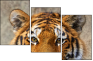59798134