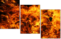 59859879
