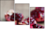 60166700