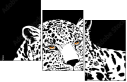 60173514