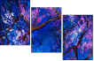 60310652