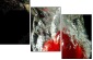 60316396