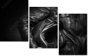 60318085