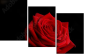 60429320
