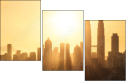 60817031