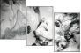 60831181