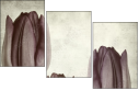 60858955