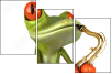61064251